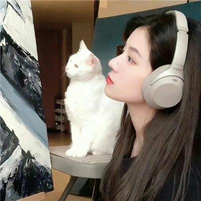 新龙威小子